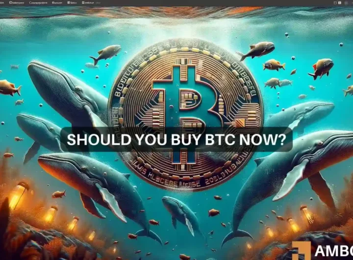 Bitcoin whales’ buying frenzy – What it means for you and your holdings