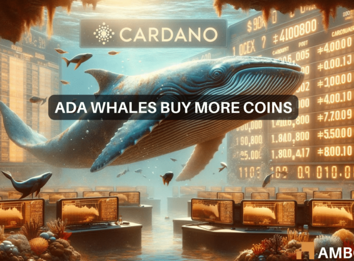 Can Cardano whales help overcome ADA’s 7% drop in value?