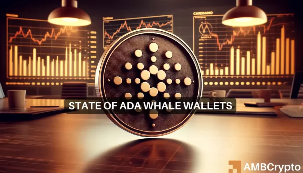 Cardano whales’ behaviour means THIS for ADA’s price and its traders