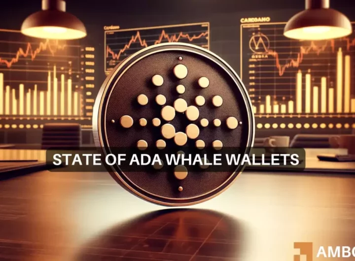 Cardano whales’ behaviour means THIS for ADA’s price and its traders