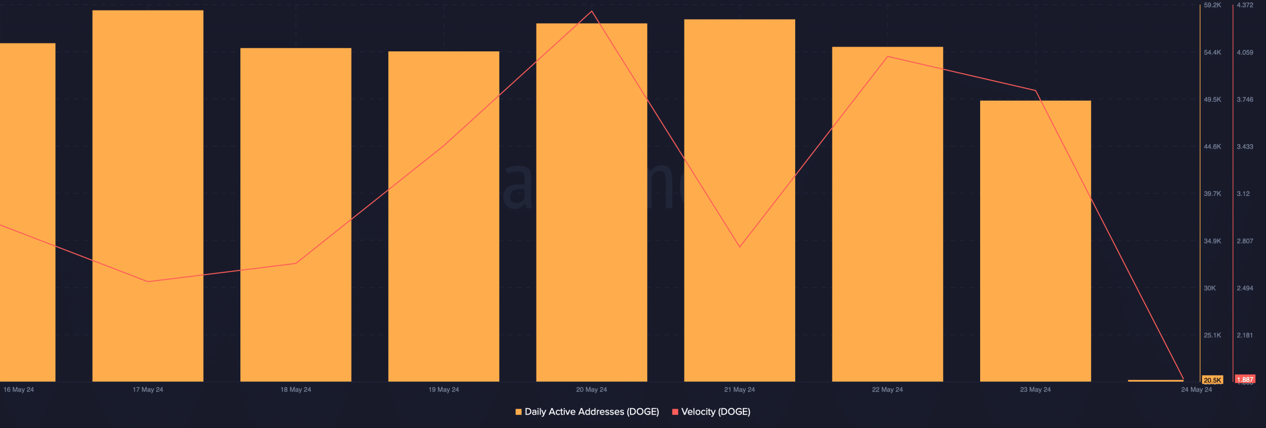 DOGE's network activity remained high