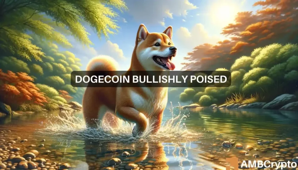 Why Dogecoin [DOGE] cannot rise beyond THIS level right now