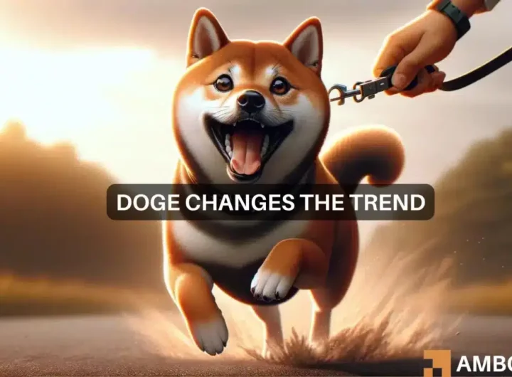 Dogecoin’s 15% rise in 7 days means THIS for your DOGE holdings