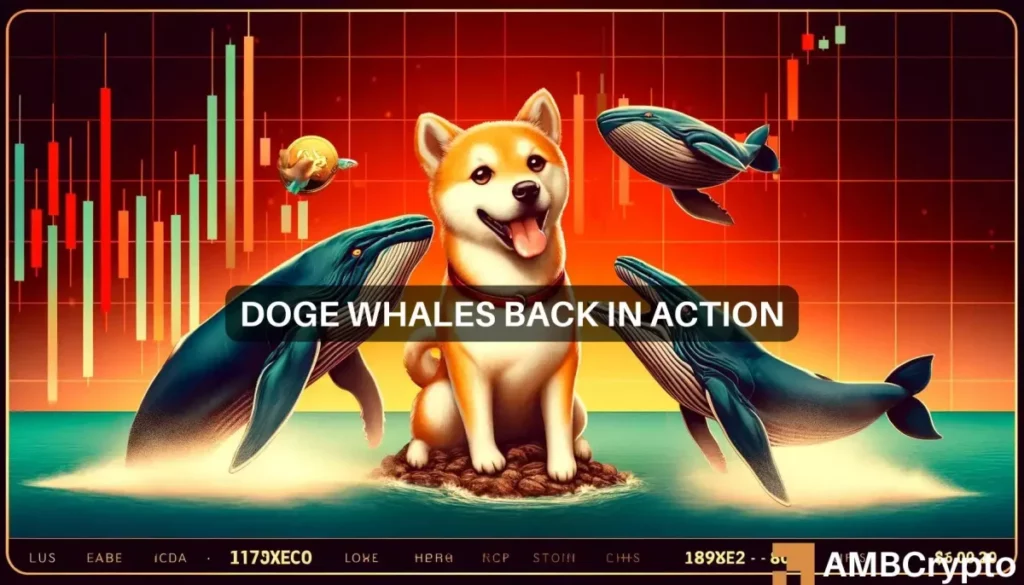 Dogecoin: Whales shift 17B DOGE as prices fall and that means…