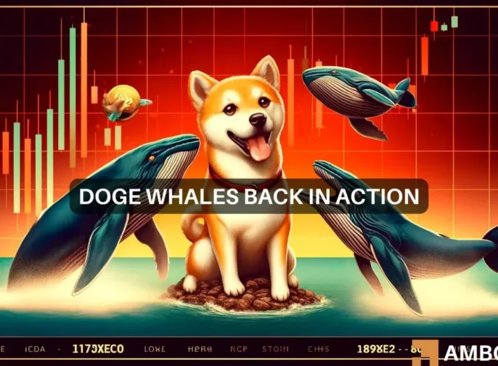 Dogecoin: Whales shift 17B DOGE as prices fall and that means…