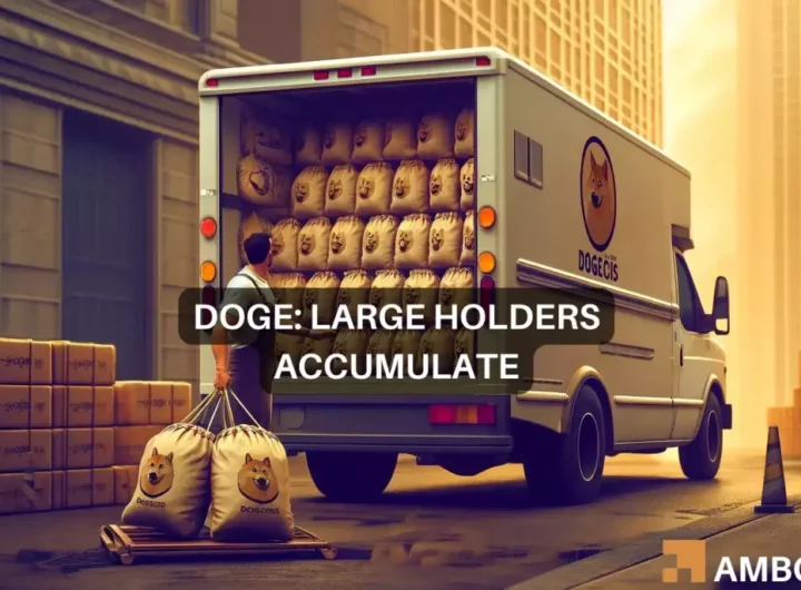 Dogecoin holders up their stake by 1%: 265.86M reasons to buy DOGE?