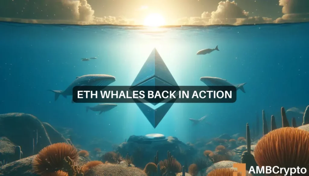 Ethereum hits .7K as whales accumulate, but there’s a problem 