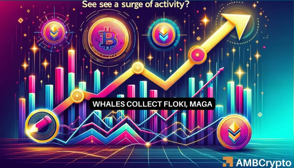 Floki Inu and Donald Trump-related MAGA see whale activity – Why?