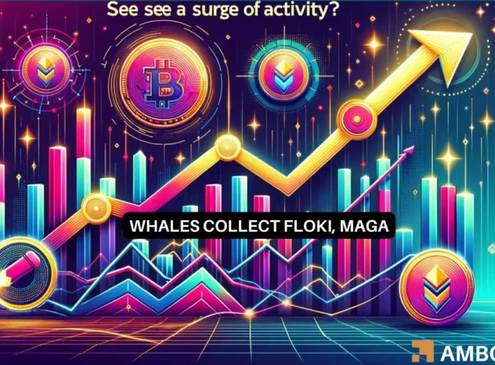 Floki Inu and Donald Trump-related MAGA see whale activity – Why?