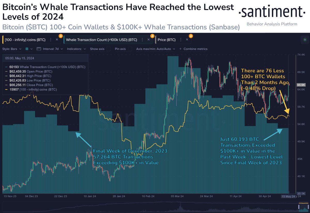 BTC whale activity