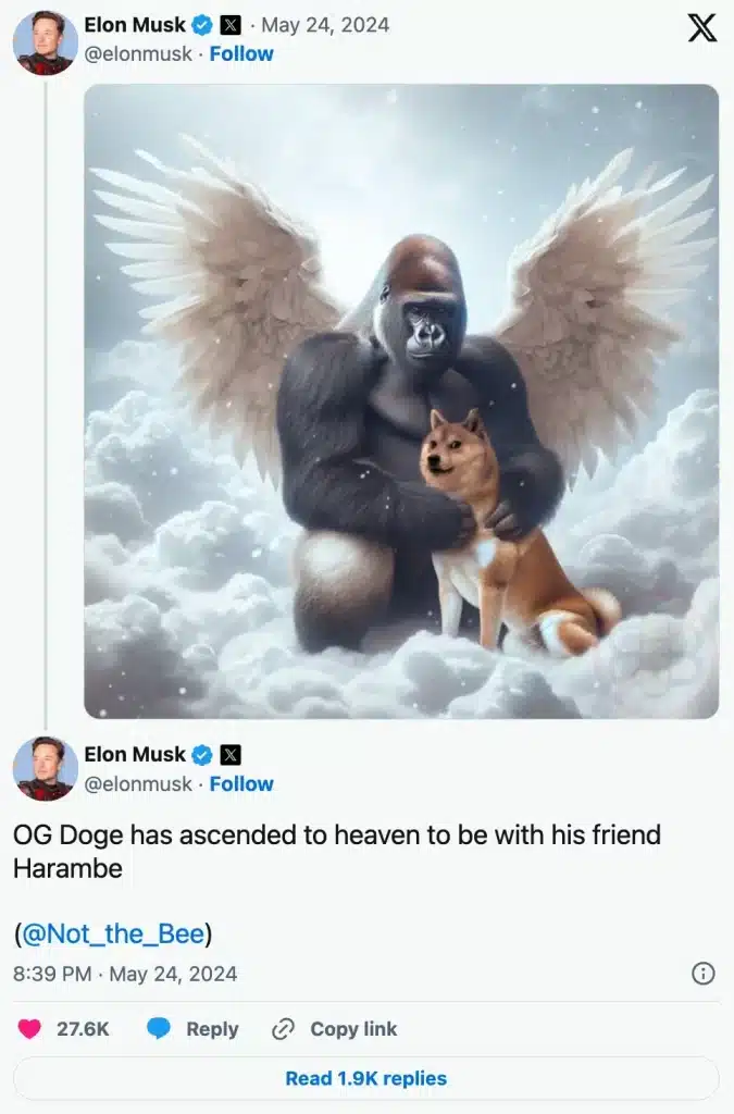 Musk on original DOGE