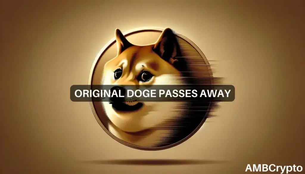 Dogecoin drops as DOGE community bids ‘Kabosu’ farewell