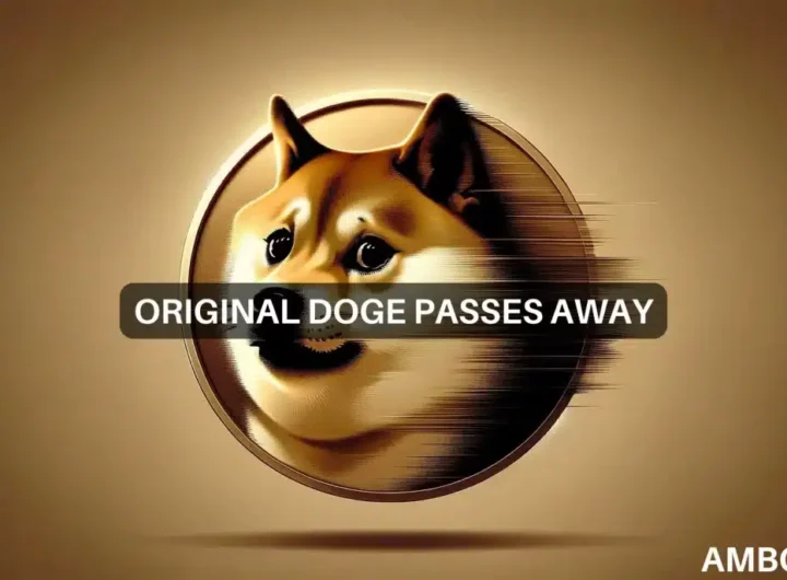 Dogecoin drops as DOGE community bids ‘Kabosu’ farewell