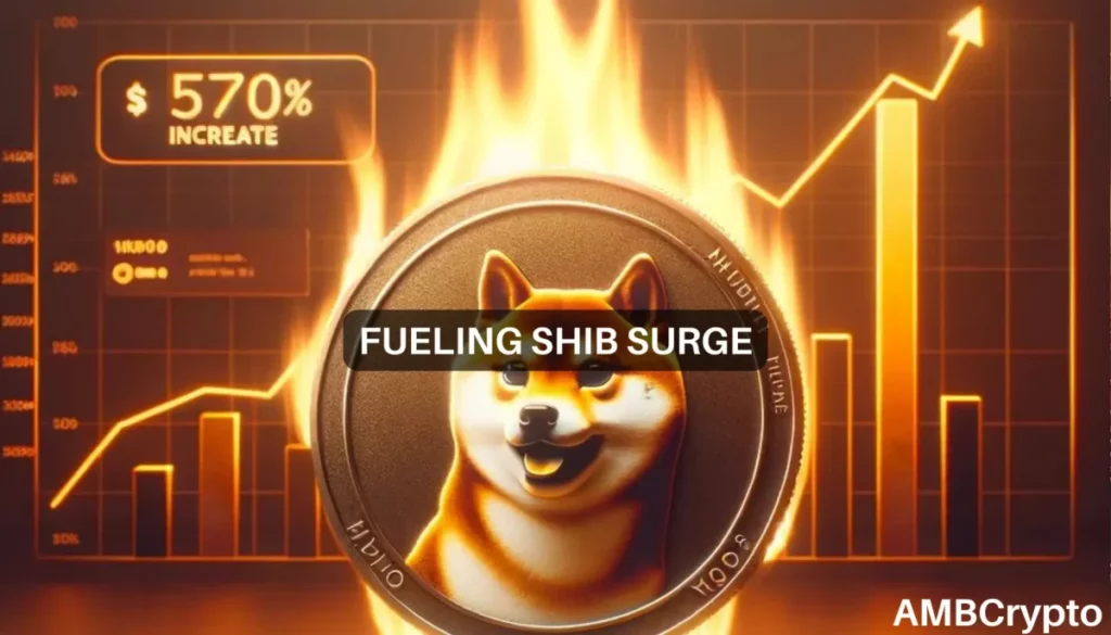 Shiba Inu burn rate explodes 570% – Will prices follow suit?