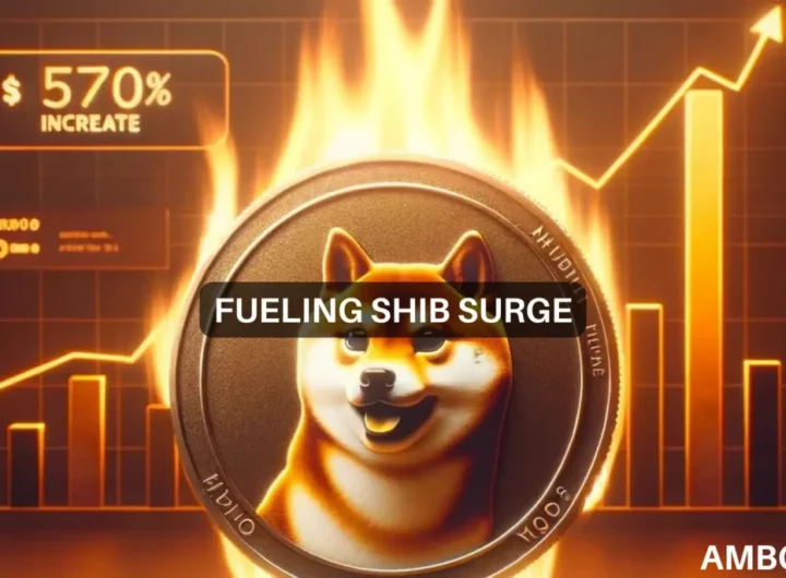 Shiba Inu burn rate explodes 570% – Will prices follow suit?