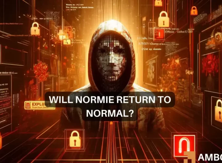 Normie crypto plummets 90%: What happened and what’s next?