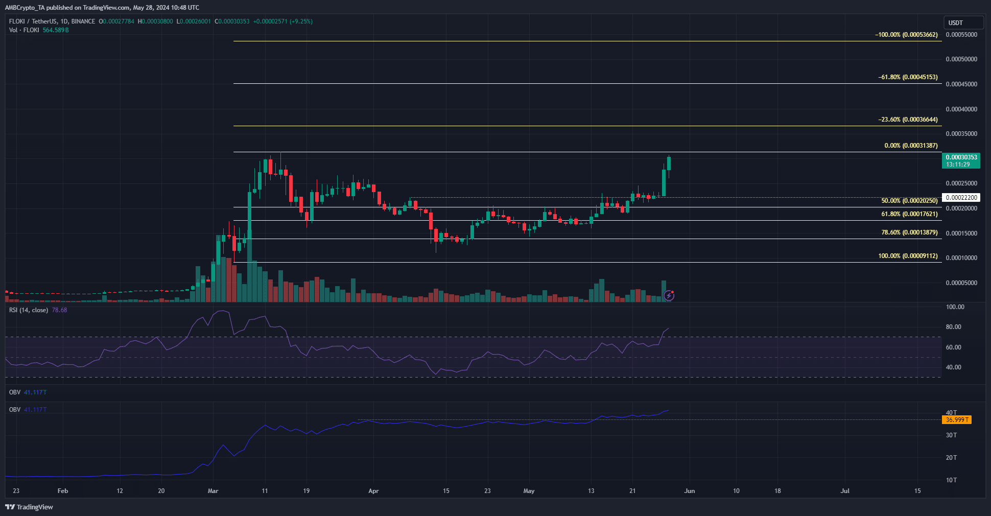 FLOKI Daily Price Chart