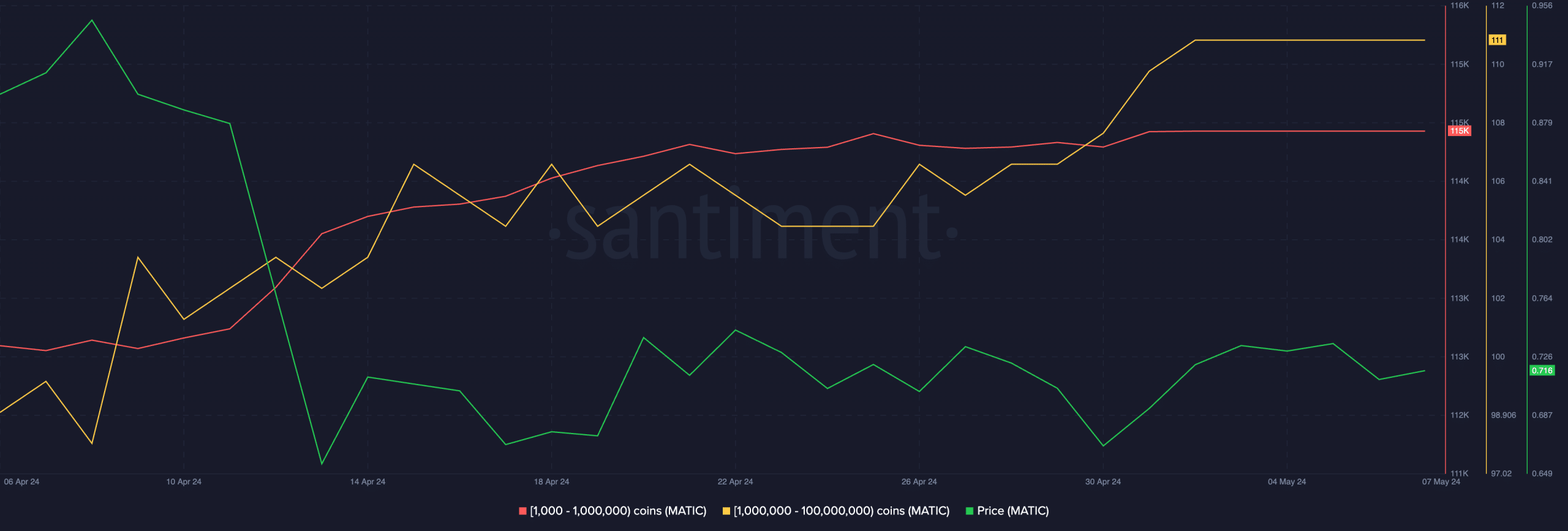 Polygon Whale Activity