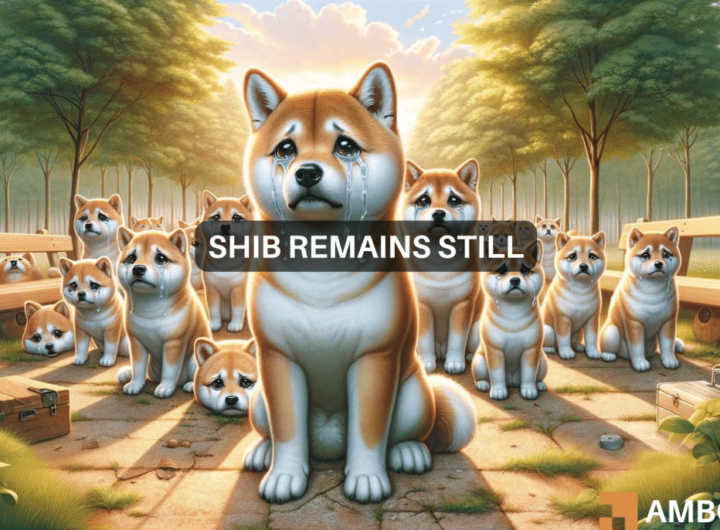 Shiba Inu slips 10% in a day: What’s behind the plunge?