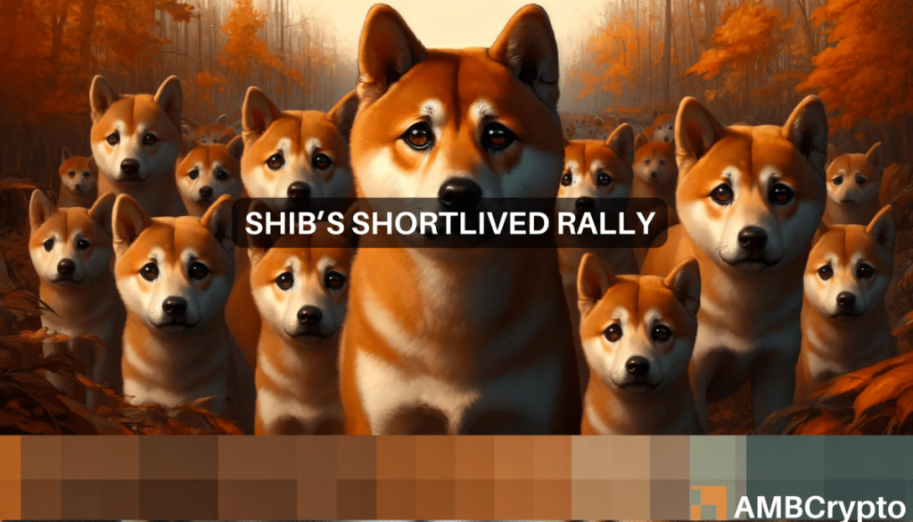 Is Shiba Inu’s 10% price hike going to last? Here’s what the signs say…