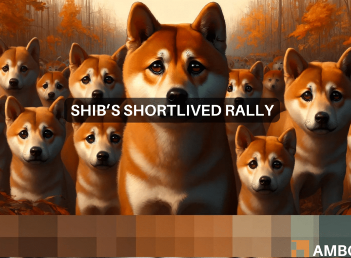 Is Shiba Inu’s 10% price hike going to last? Here’s what the signs say…