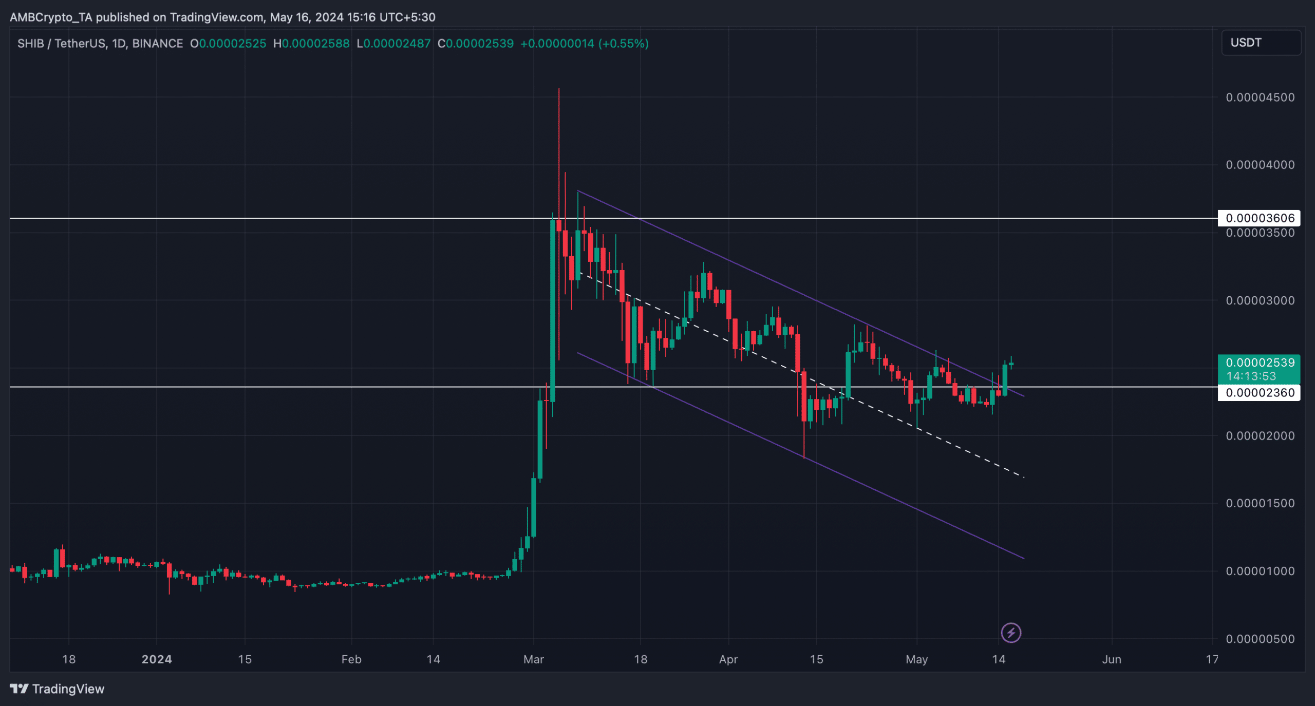 Shiba Inu's bull flag breakout