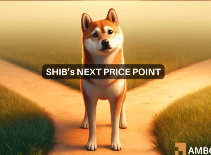 Decoding Shiba Inu’s descending triangle – Is an 18% price drop coming next?