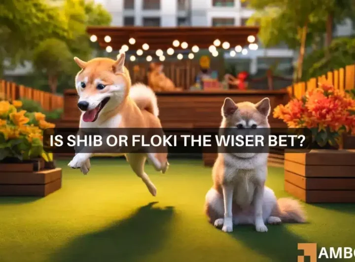 SHIB or FLOKI: Which memecoin should you bet on today?