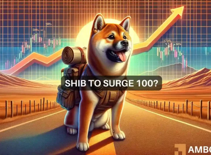 Shiba Inu coin – Here’s the roadmap for a 100% hike in SHIB’s price