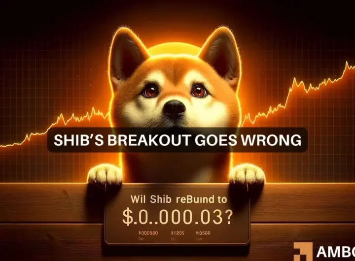 Shiba Inu’s price back to its March highs? Here are the steps…