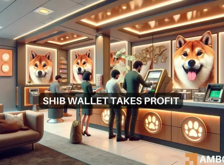 Shiba Inu whale moves 48B tokens; SHIB’s price reacted by…