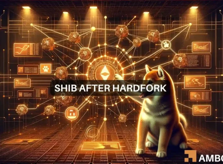 Why Shiba Inu felt little impact of the Shibarium hardfork