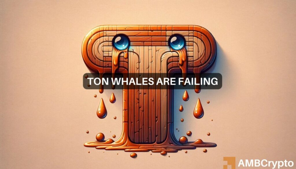 Whales flock to Toncoin despite price risks: What’s your move?