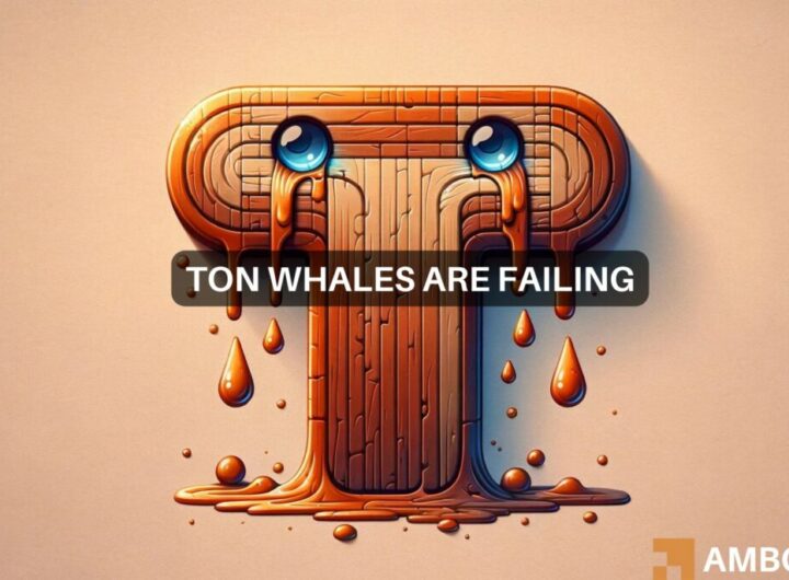 Whales flock to Toncoin despite price risks: What’s your move?