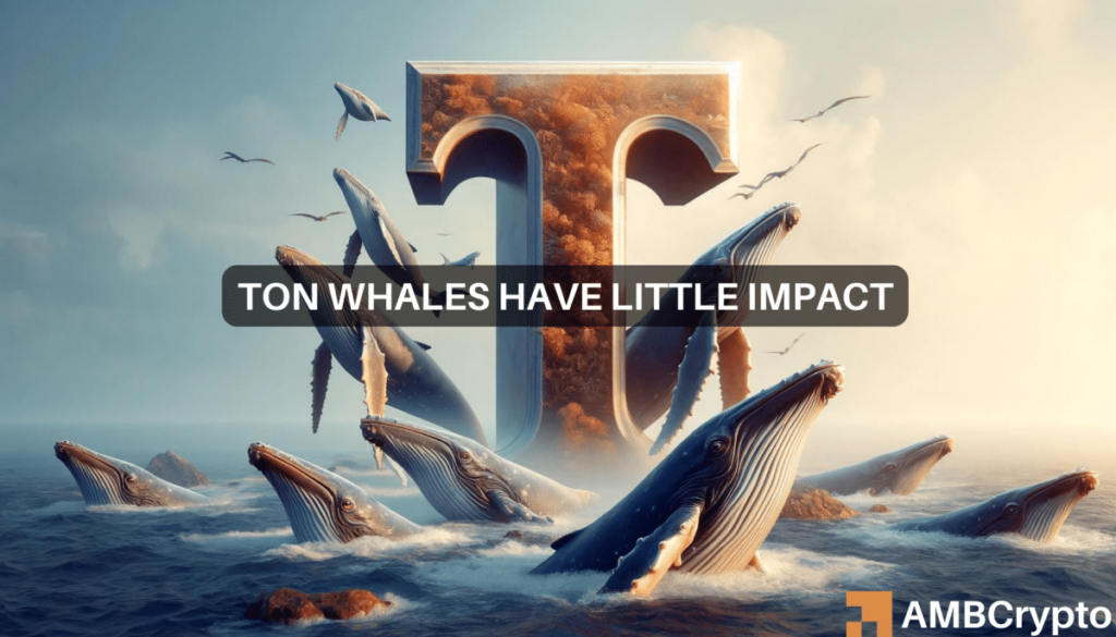 Whale watch: B in Toncoin trades shake the market, tracking what’s next