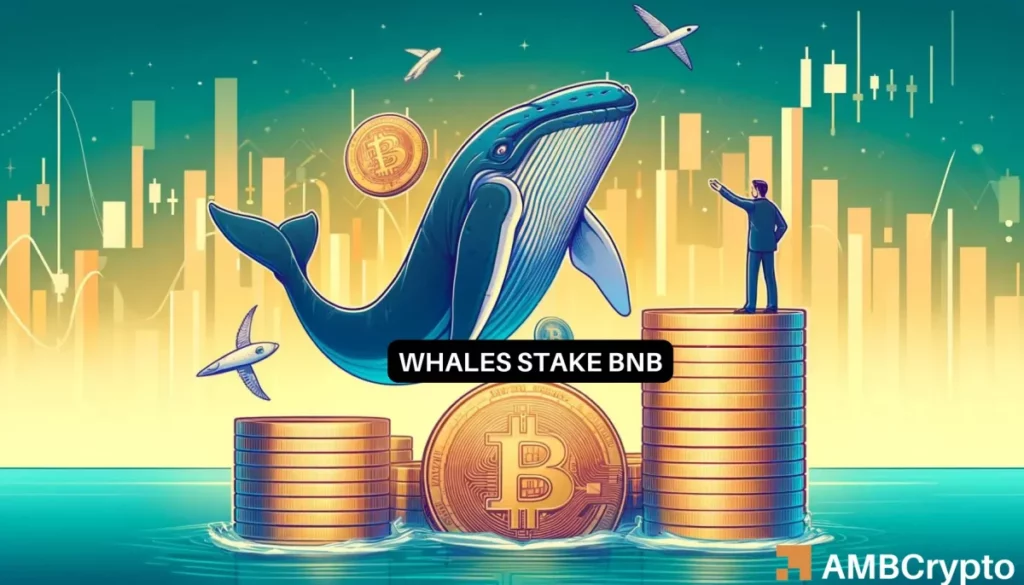 Whales stake more BNB despite THIS major concern: What’s cooking?