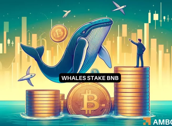 Whales stake more BNB despite THIS major concern: What’s cooking?