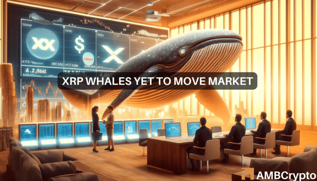 XRP whales add  million, but the price falls again – What’s happening?