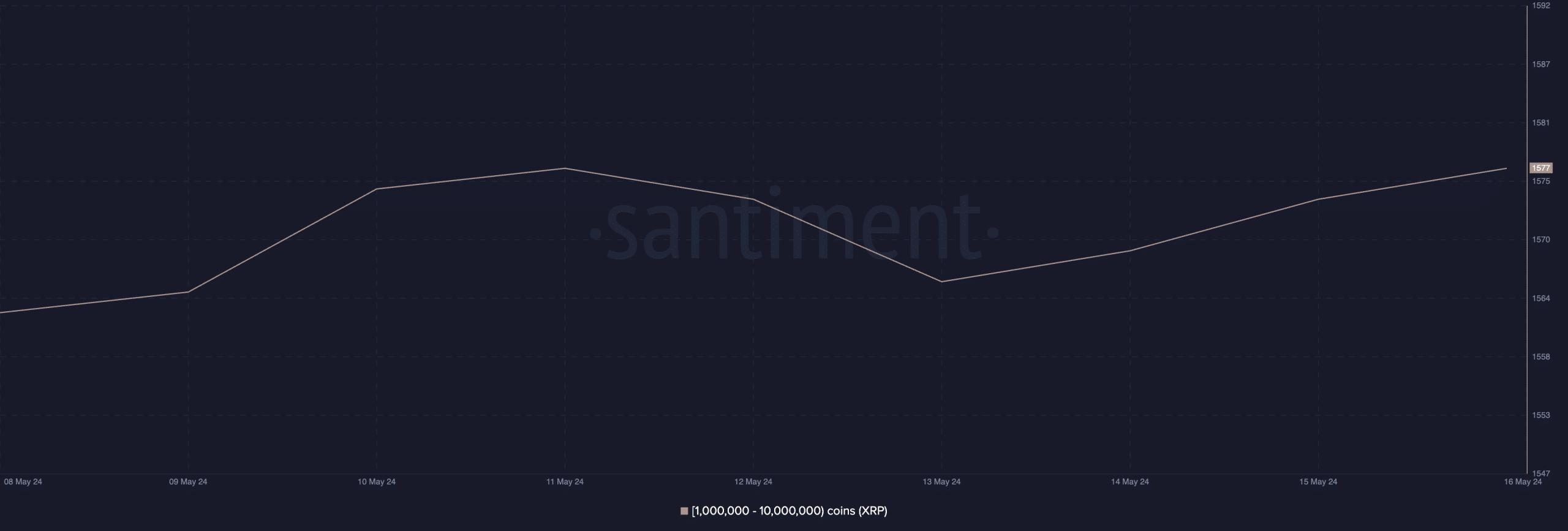 XRP Whale Activity