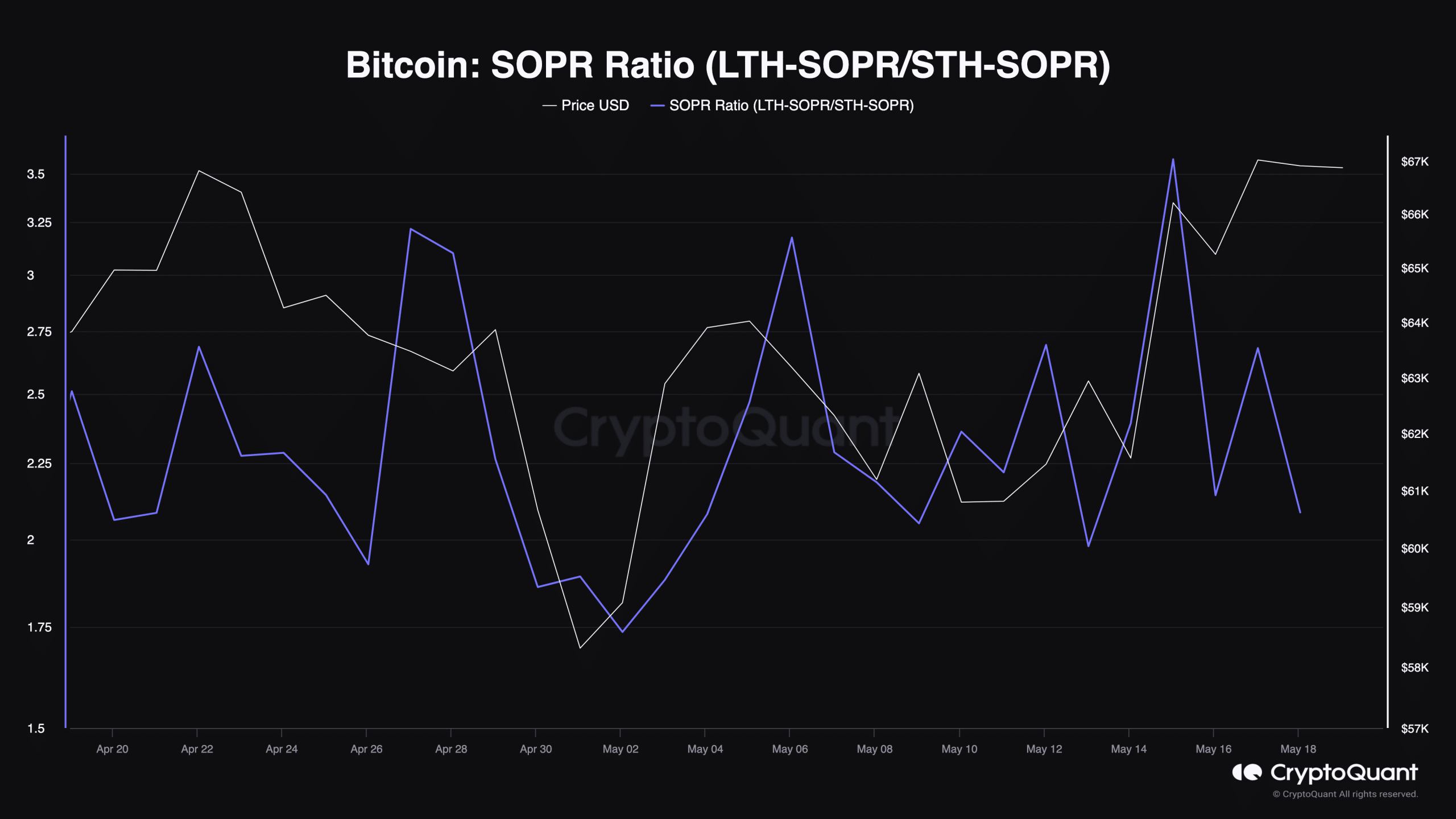 Bitcoin SOPR shows that the coin is still in a bull market