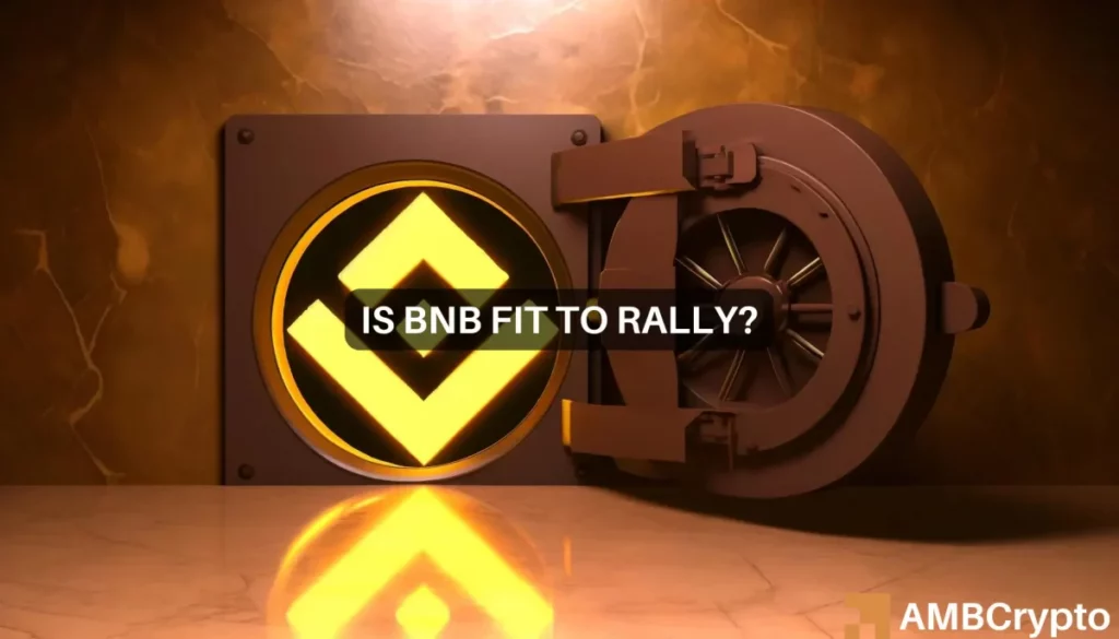 BNB Chain DEX volume surges – Examining what it means for BNB’s price