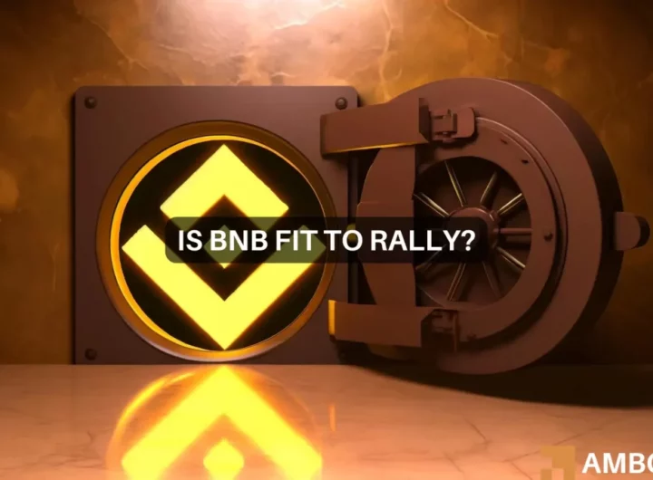 BNB Chain DEX volume surges – Examining what it means for BNB’s price