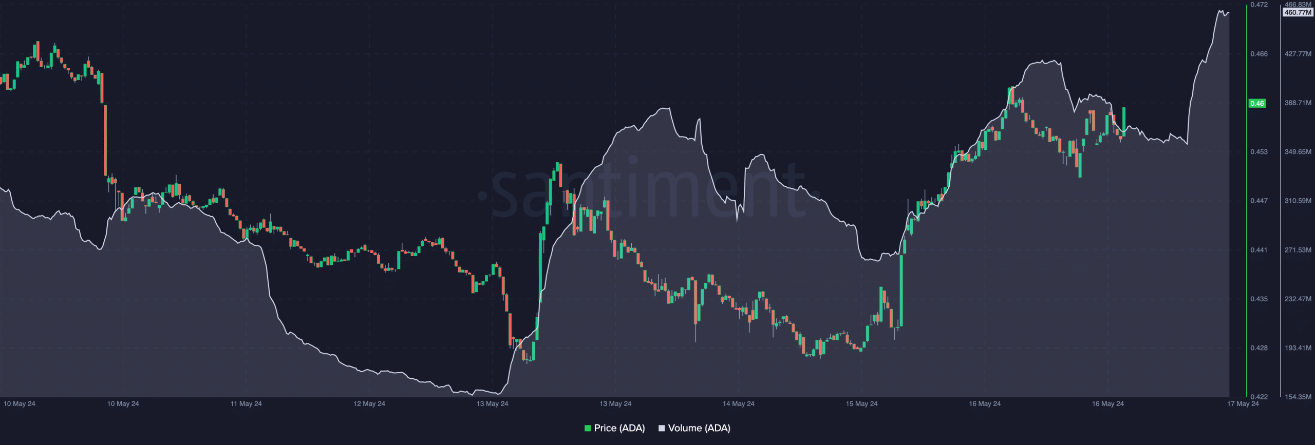 Cardano's volume surges while the price also increases