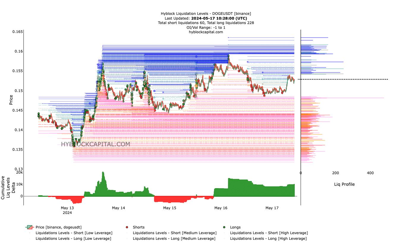 Dogecoin liquidation levels