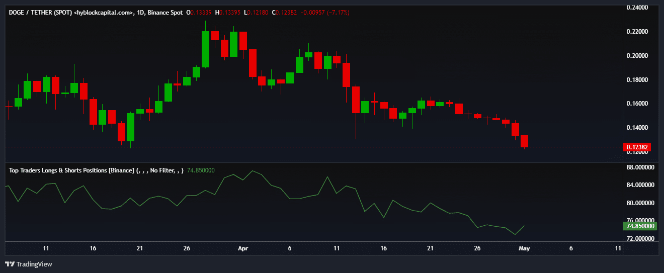 DOGE whales positions