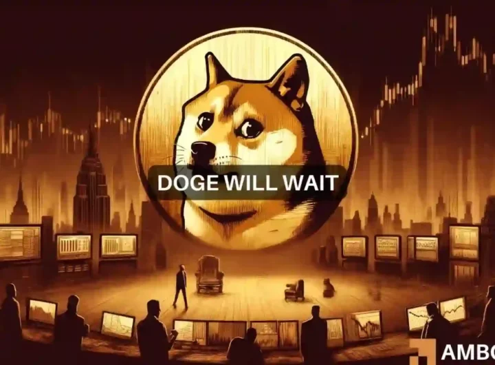 Why Dogecoin’s next price rally depends on THIS key metric