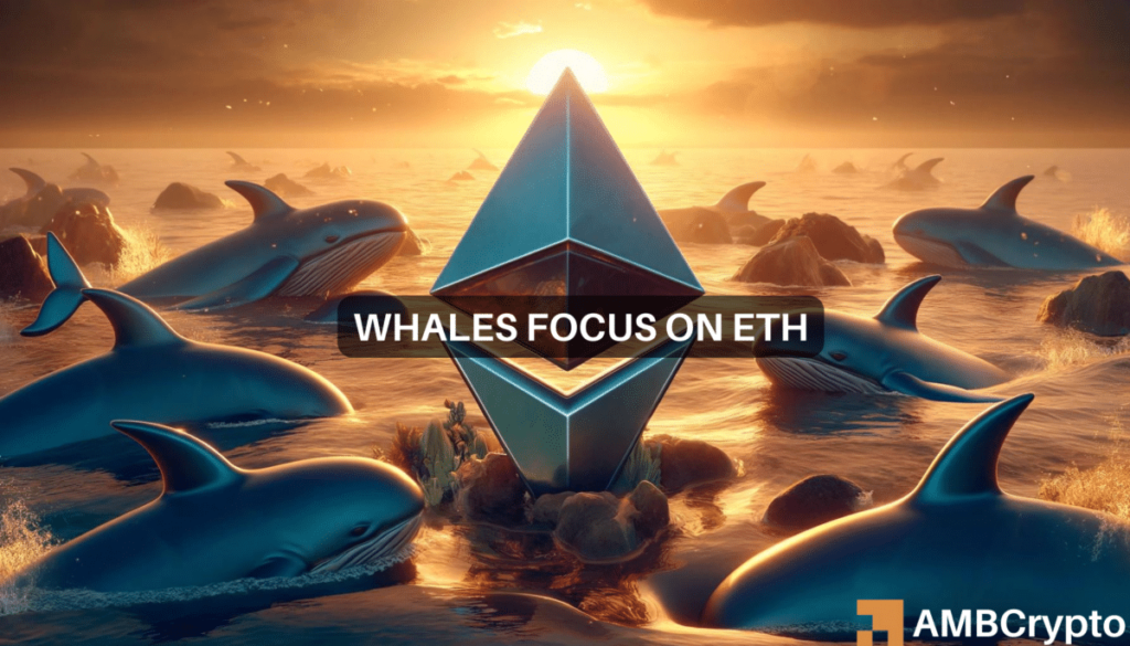 Why Ethereum’s crypto whale holdings increased 27% in 14 months