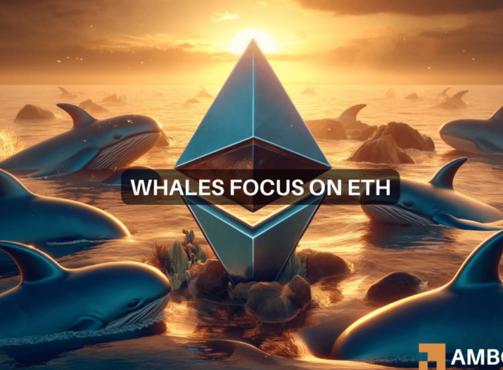 Why Ethereum’s crypto whale holdings increased 27% in 14 months