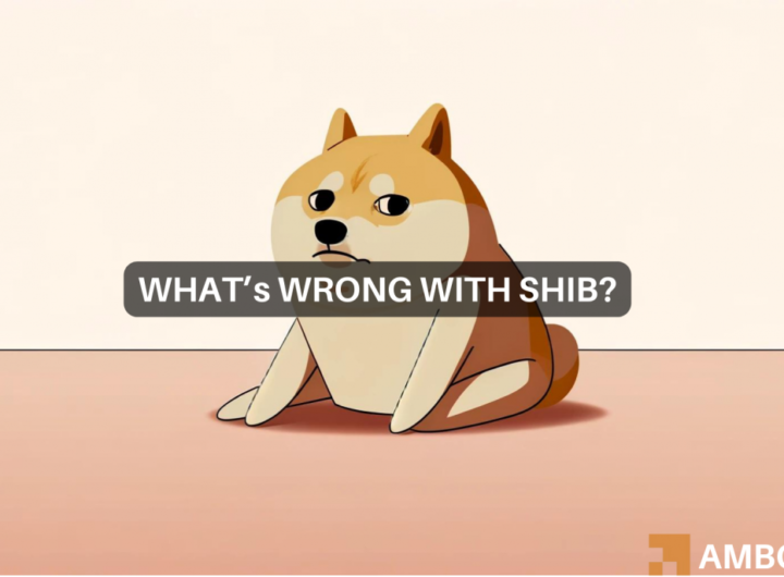 Shiba Inu: Shibarium transactions decline massively: Will it affect SHIB?