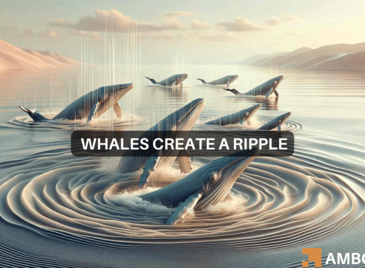 XRP whales acquire 300M+ tokens as altcoin joins rally: What do they know?